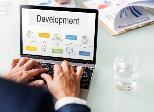 Blog_custom_software
