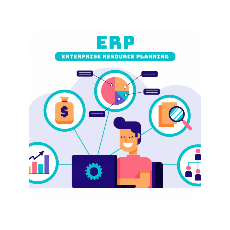 ERP Development