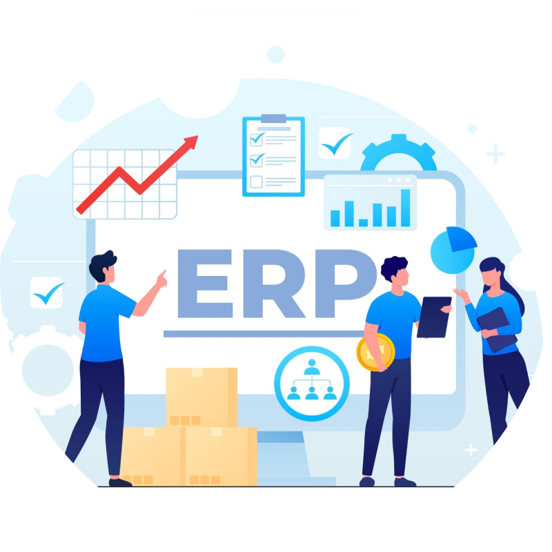 ERP Development